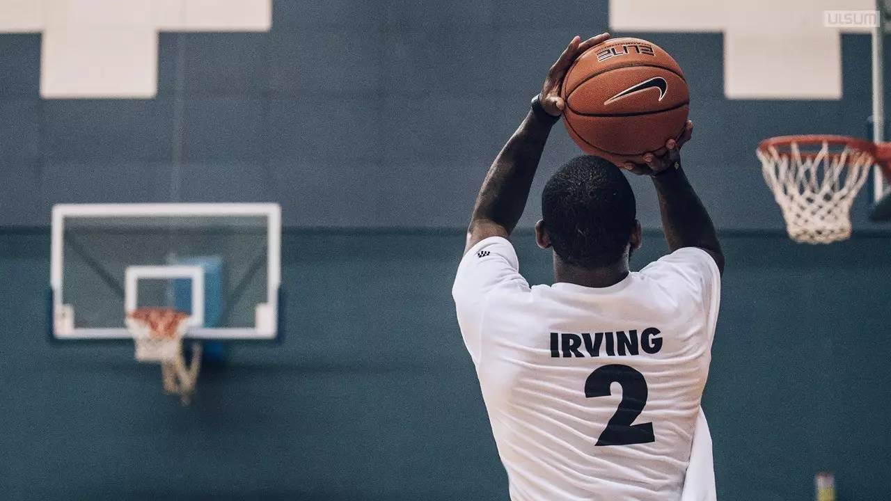 均有明显提 均有明显提