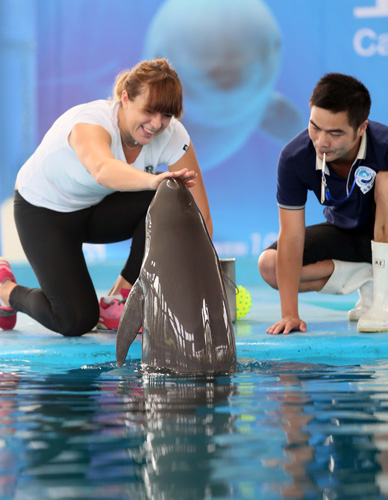 得分数字吸 得分数字吸