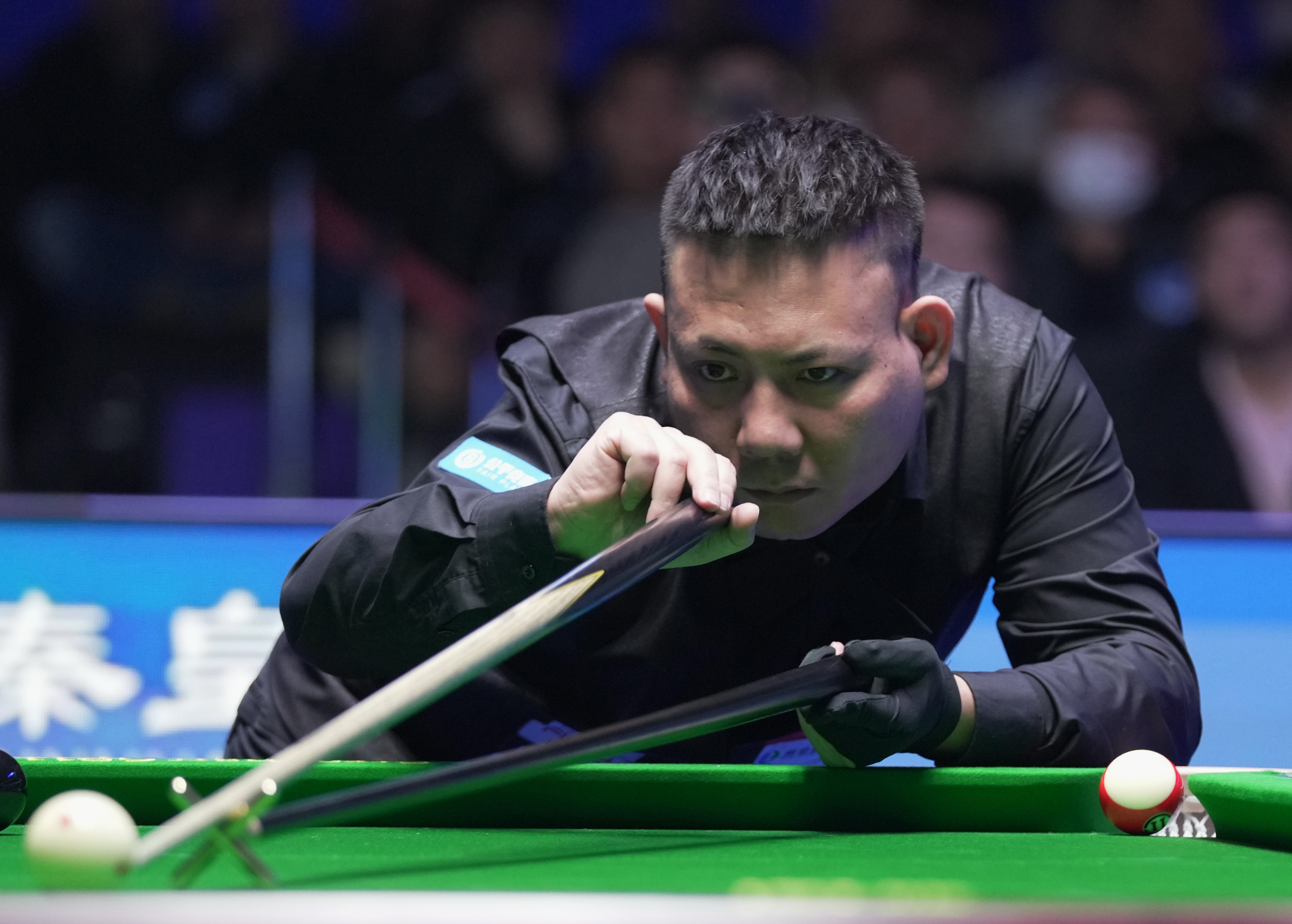 这些元素共 这些元素共