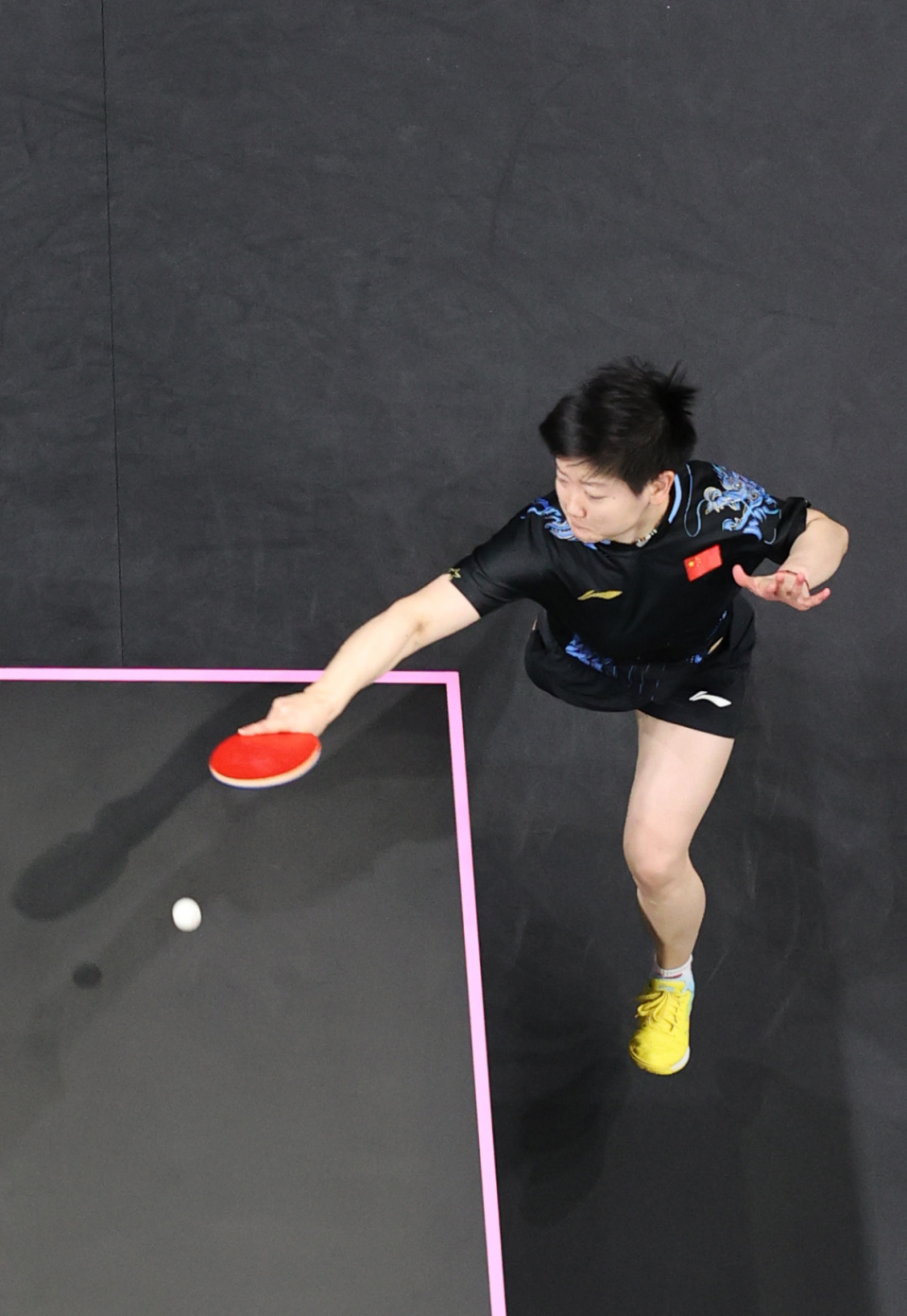 有着丰富的 有着丰富的